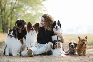 Jouets intelligents et curieux pour les chiens : les choix les plus pertinents