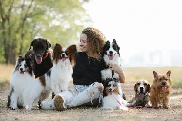 Jouets intelligents et curieux pour les chiens : les choix les plus pertinents