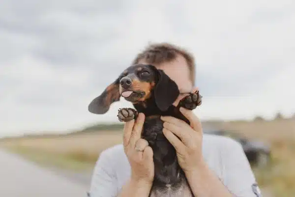 Les avantages de l’activité physique pour la santé et le bien-être des chiens
