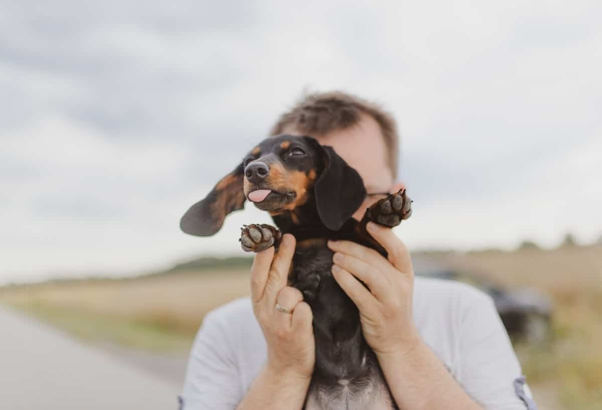 Les avantages de l’activité physique pour la santé et le bien-être des chiens