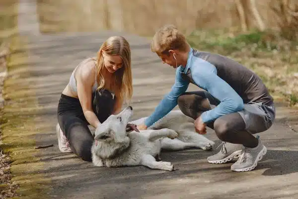 Les must-have pour une cohabitation parfaite avec votre chien
