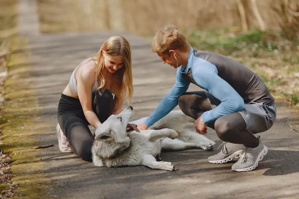 Les must-have pour une cohabitation parfaite avec votre chien