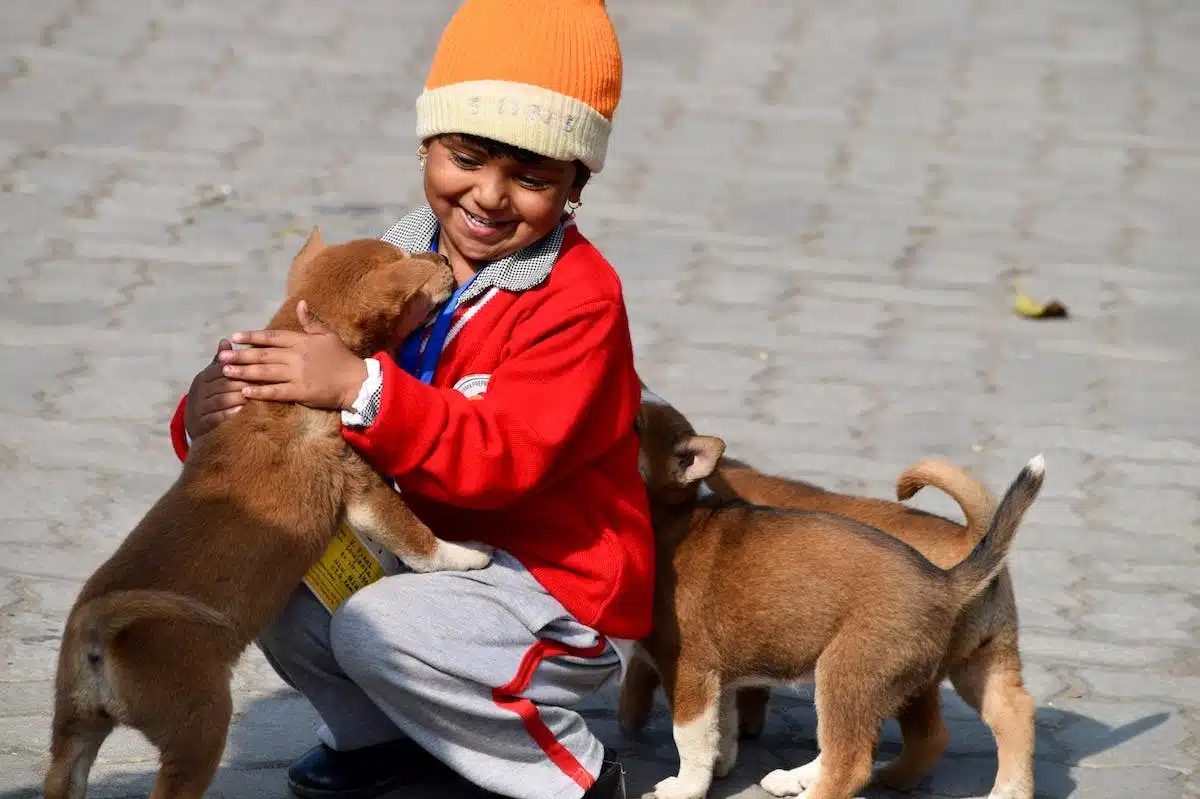 Conseils pour favoriser une relation harmonieuse entre enfants et animaux de compagnie