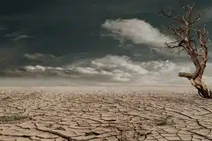 Le bouleversement climatique et ses conséquences sur la biodiversité sauvage