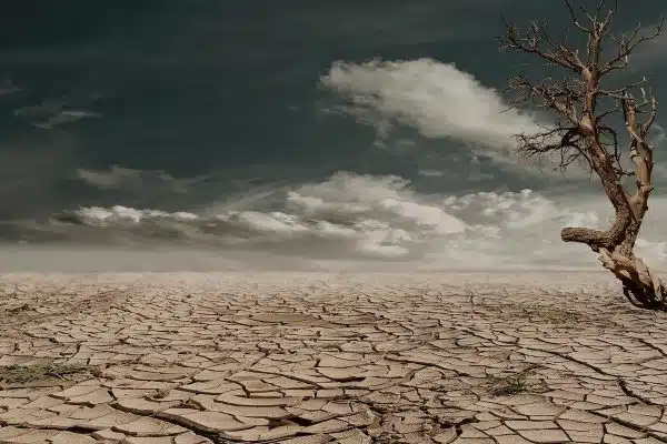 Le bouleversement climatique et ses conséquences sur la biodiversité sauvage