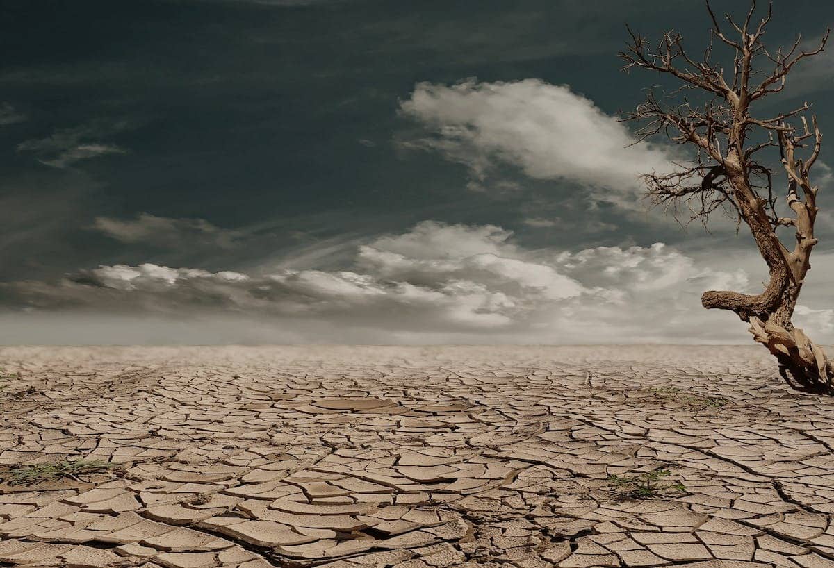 Le bouleversement climatique et ses conséquences sur la biodiversité sauvage