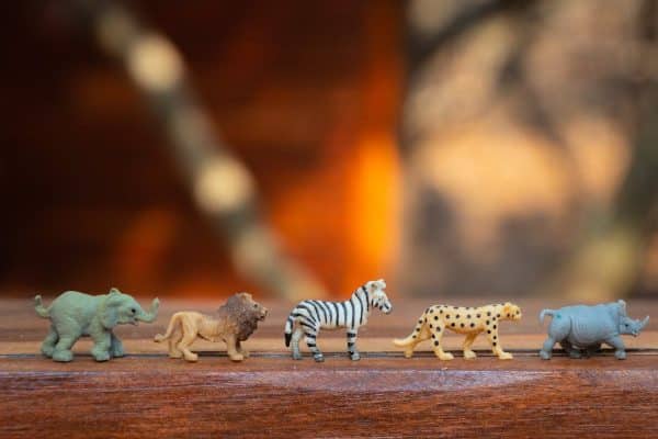 Les critères essentiels pour bien sélectionner le jouet idéal pour votre animal de compagnie