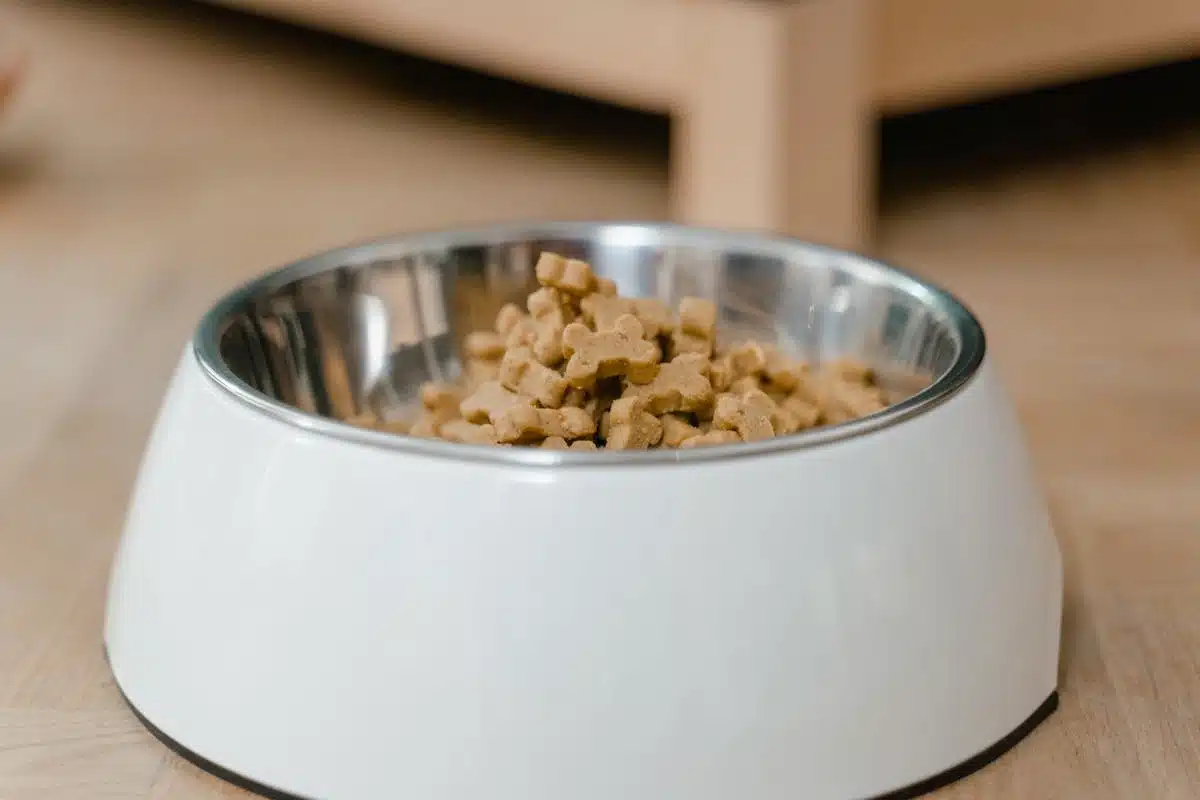 Choisir la nourriture idéale pour votre chien : les critères essentiels à connaître