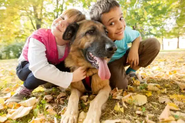 Quelle race de chien choisir pour les enfants ?