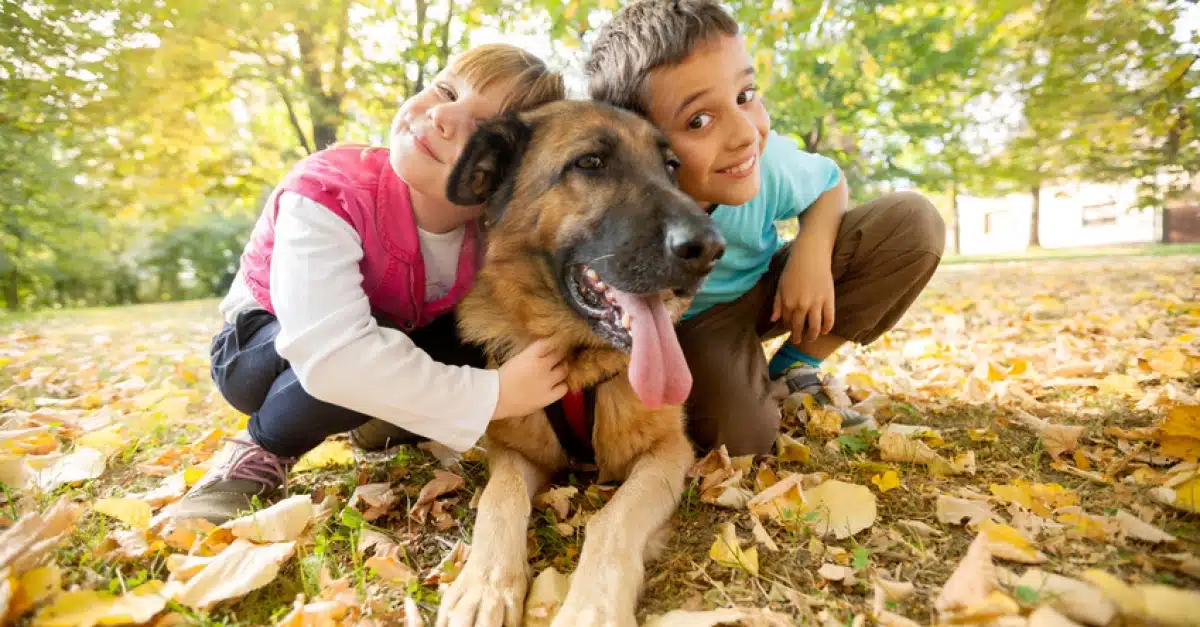 Quelle race de chien choisir pour les enfants ?