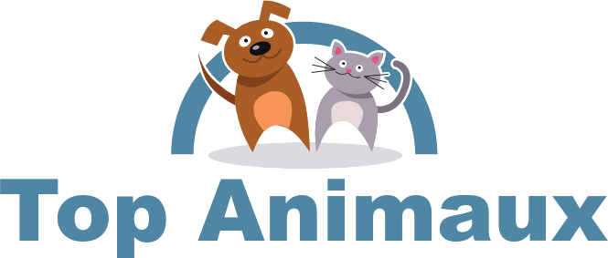 Top Animaux