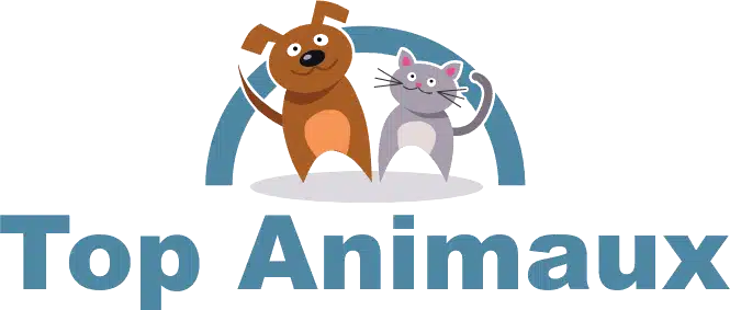 Top Animaux