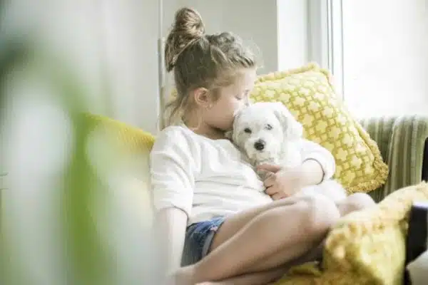 Nourrir son chien : les clés pour une alimentation équilibrée et saine